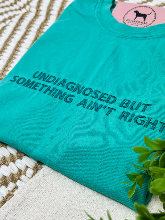 UNDIAGNOSED BUT SOMETHING AIN'T RIGHT Custom Embroidered T-shirt or Sweatshirt