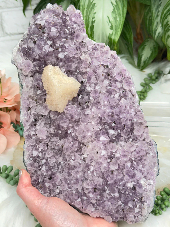 BACK LEFT