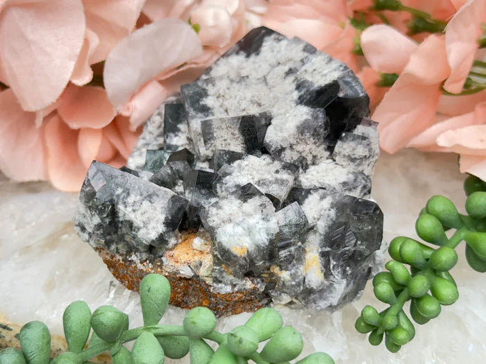 UV Reactive Diana Maria Fluorite