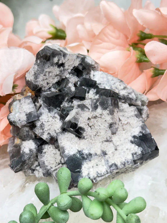 UV Reactive Diana Maria Fluorite