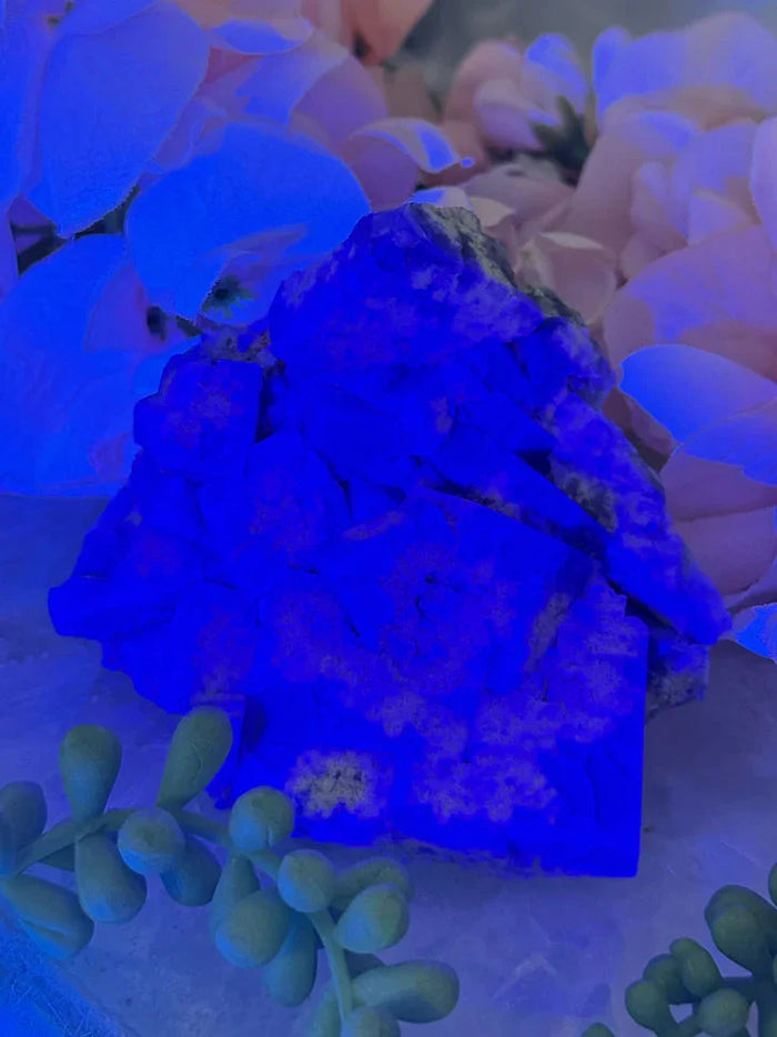 UV Reactive Diana Maria Fluorite