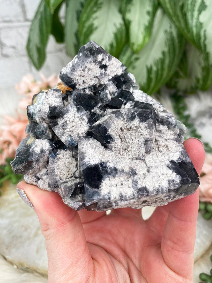 UV Reactive Diana Maria Fluorite