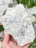 white-bladed-calcite